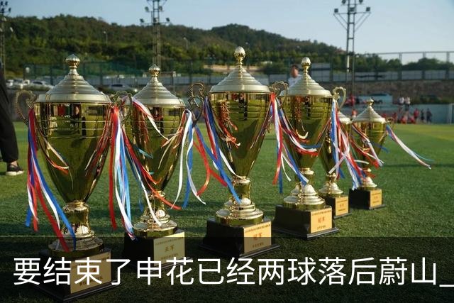 要结束了?申花已经两球落后蔚山 22岁小将轻松推射
